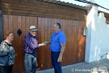 Muestra de ganado de las fiestas del patrono de Telde (Foto  Francisco Javier Santana)
